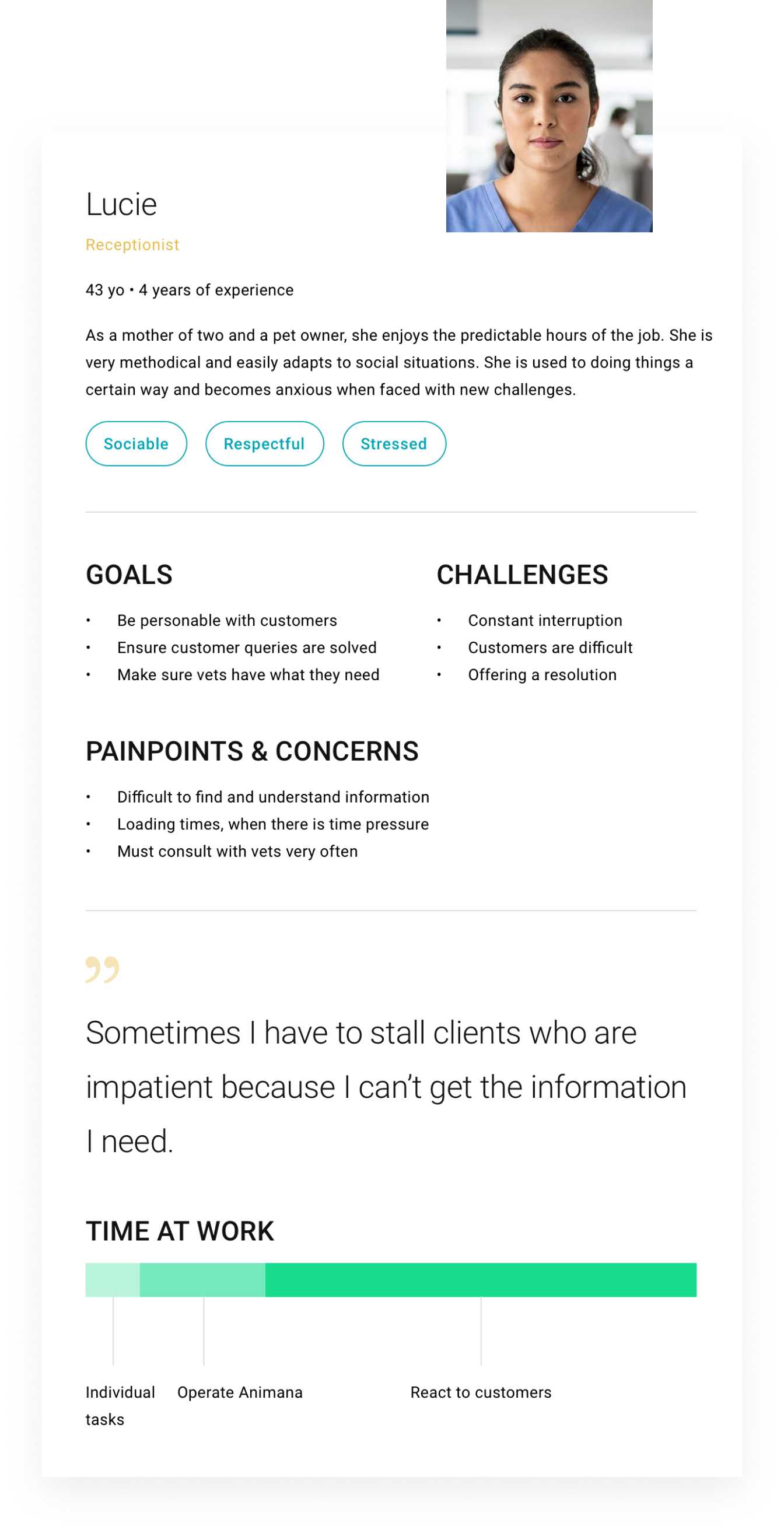 Diagramma della persona dell'utente con obiettivi, sfide e preoccupazioni